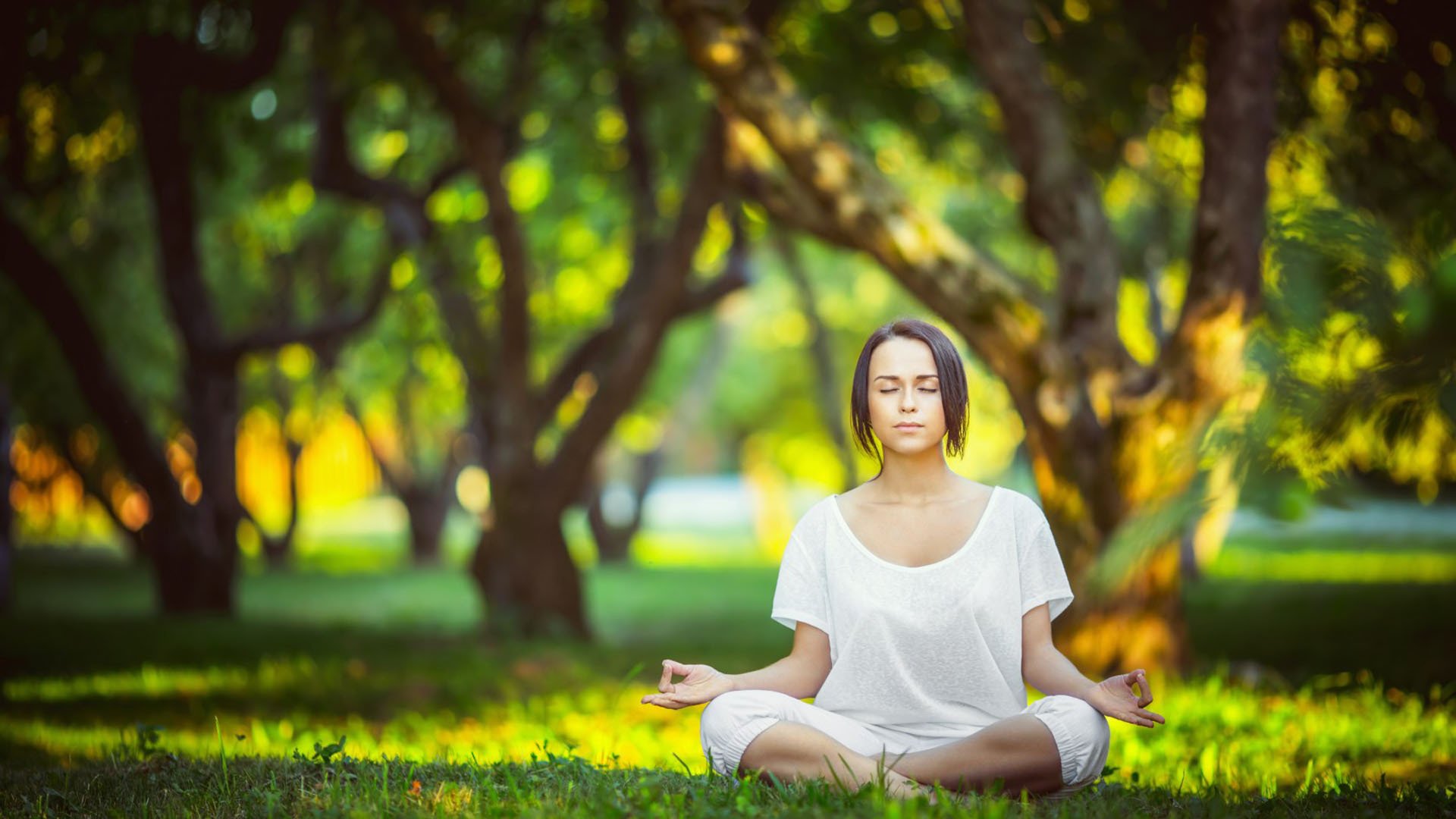幻想推理：2026年是否会出现华裔天才少年代表美国或加拿大反戈一击？